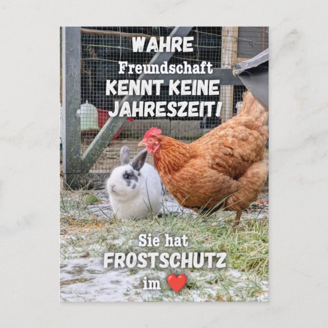 Cartão Postal Postkarte „Frostschutz im Herzen“ (Frente)