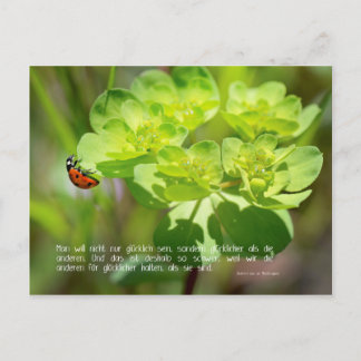 Cartão Postal Postkarte Glück (Edição sinn.worte)