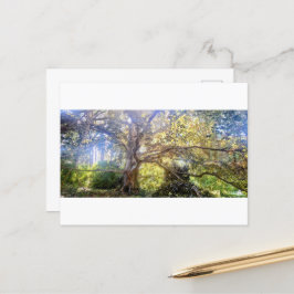 Cartão Postal Postkarte Großer Laubbaum