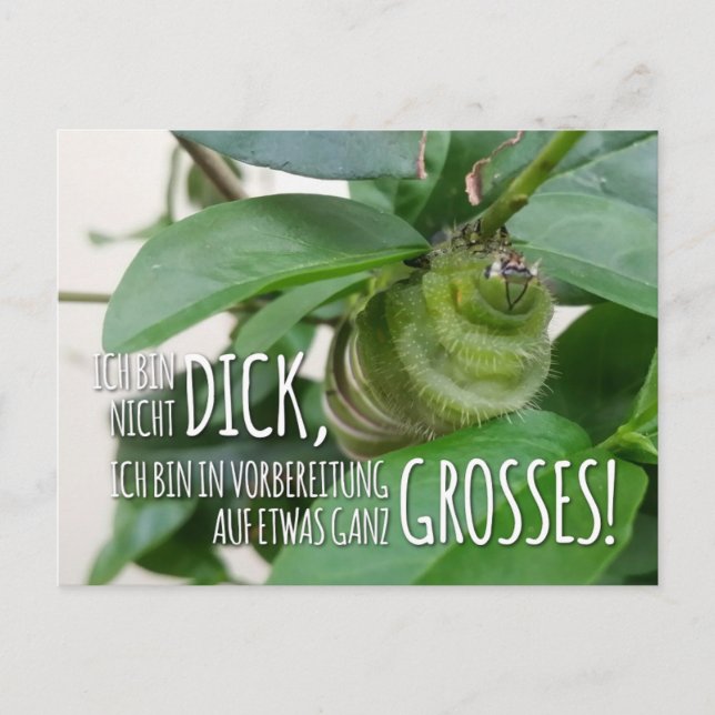 Cartão Postal Postkarte mit Raupe & Humor  (Frente)