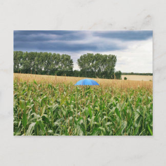 Cartão Postal Postkarte - Qualitätskontrolle