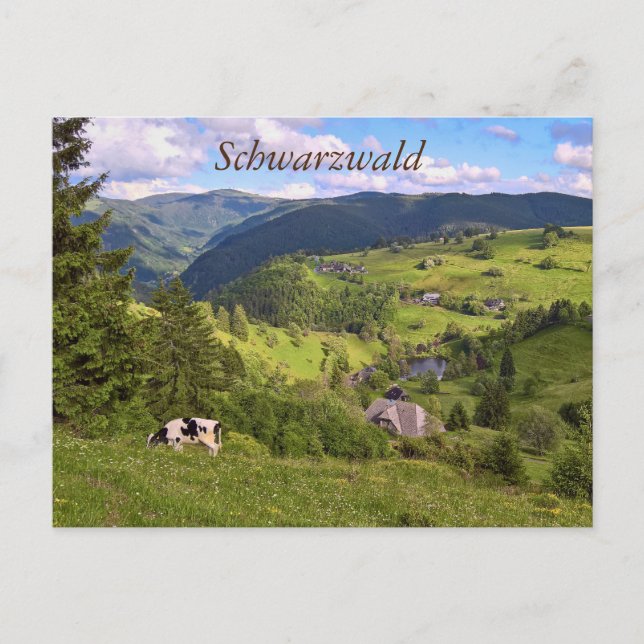 Cartão Postal Postkarte: Wiesen und eine Kuh mit Panoramaansicht (Frente)