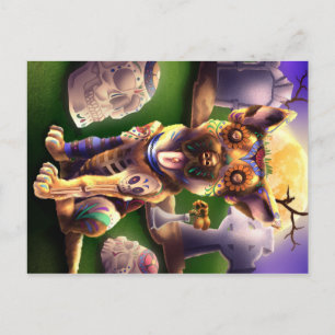 Cartão Postal Posto Card Wolf Gang Pup German Sheperd