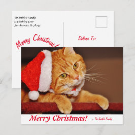 Cartão Postal Posto de Gatos de Laranja de Natal Personalizado