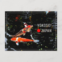Cartão Postal Posto de nishikigoi, peixe Koi japonês