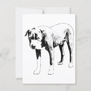 Cartão Postal Posto Pit Bull, Snow Day Hello