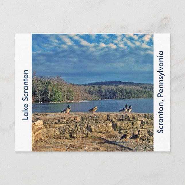 Cartão Postal Posto Scranton PA-Lake Scranton - Patos (Frente)