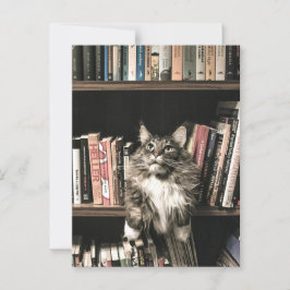 Cartão Postal Postrcosing de estante de gata