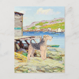 Cartão Postal Potes de lagosta