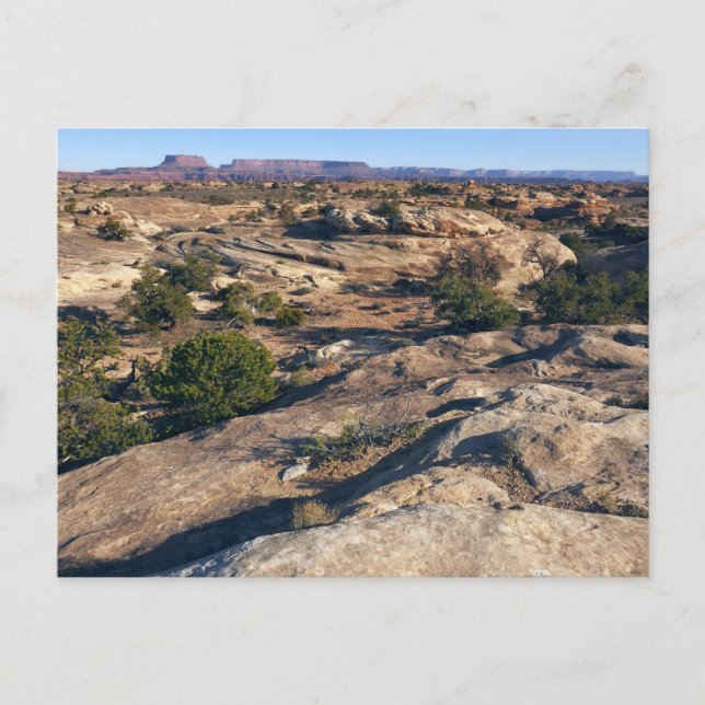 Cartão Postal Pothole Point Trail no Parque Nacional de Canyonla (Frente)