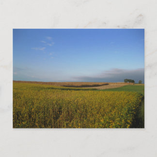 Cartão Postal Potomac 1