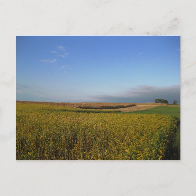 Cartão Postal Potomac 1 (Frente)