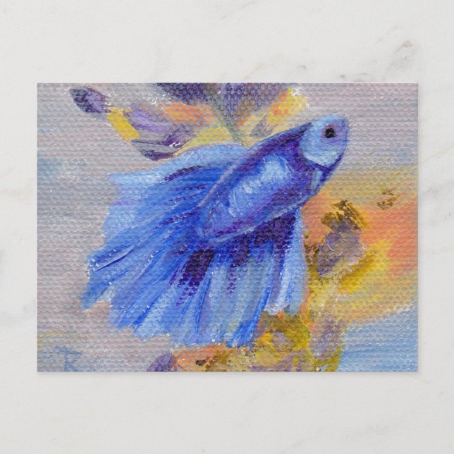 Cartão Postal Poucos peixes azuis de Betta (Frente)