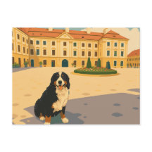 Praça de Cidade Europeia Vintage com Bernês
