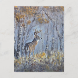 Cartão Postal Prado Buck