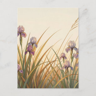Cartão Postal Prado de Íris Roxo com Paisagem de Grama Dourada 