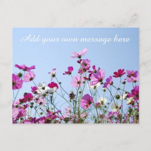 Cartão Postal Prado Rosa Bonito com Mensagem Personalizada