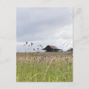 Cartão Postal Prado rural com grama verde