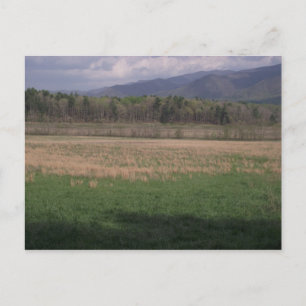 Cartão Postal Prados das Cades Cove, Montanhas do Enfumaçado