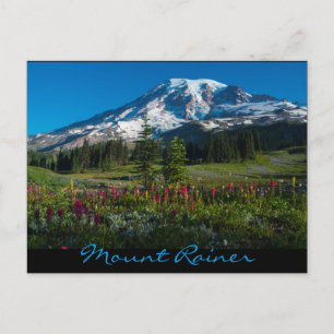 Cartão Postal Prados paraísos flores silvestres