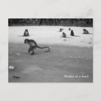 Cartão Postal Praia