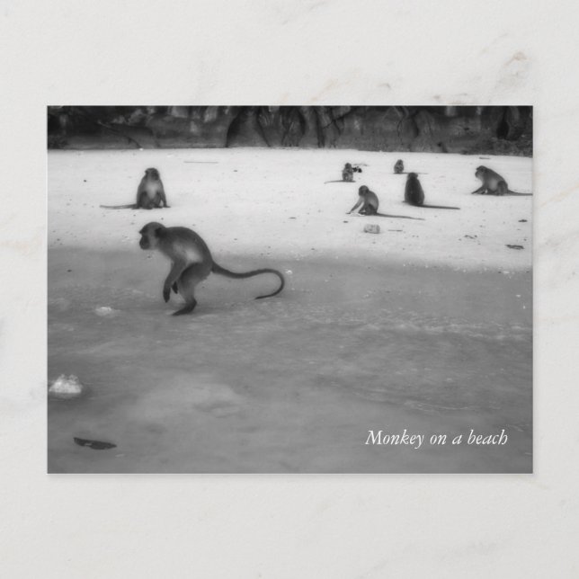 Cartão Postal Praia (Frente)