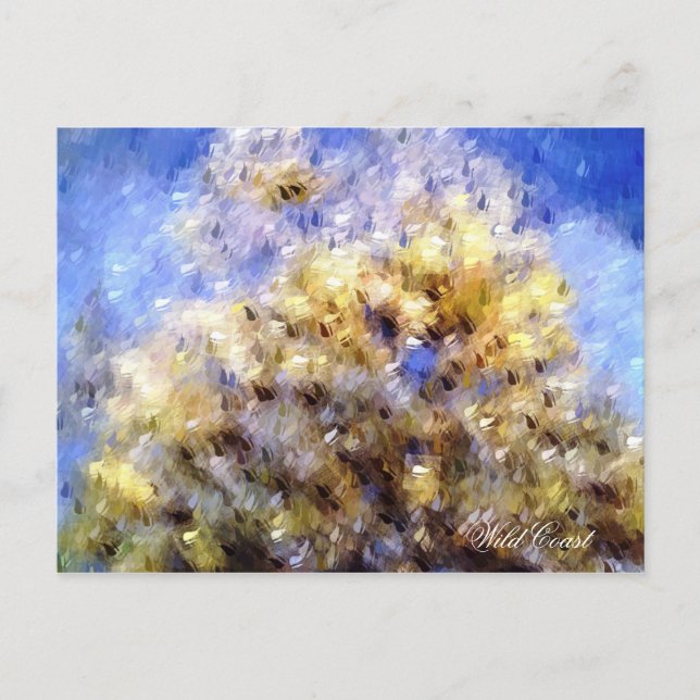 CARTÃO POSTAL PRAIA (Frente)