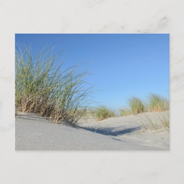 Cartão Postal Praia (Frente)