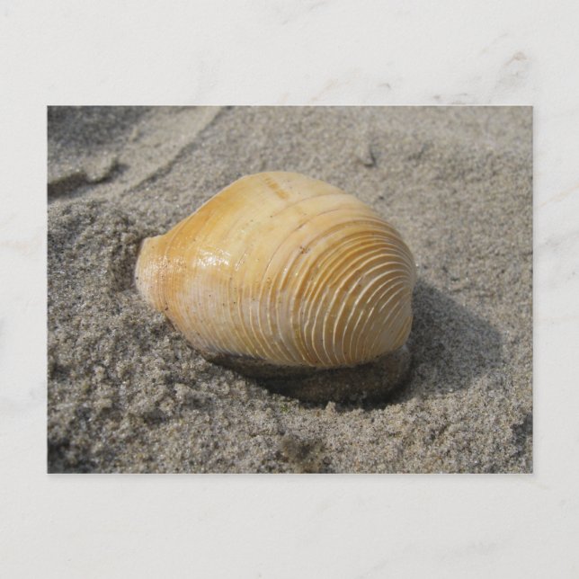Cartão Postal Praia Aproxima-se (Frente)