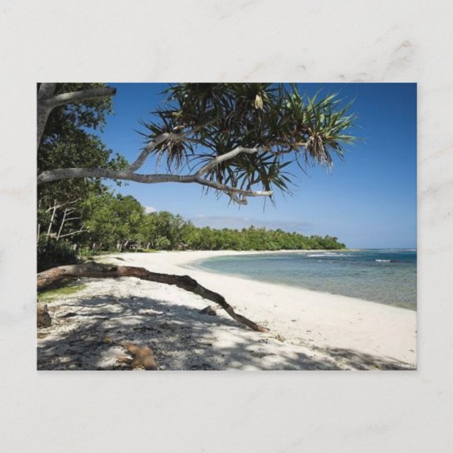 Cartão Postal Praia australiana (Frente)