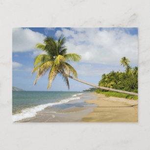 Cartão Postal Praia Coconut Grove na Baía de Cades, com St. 2