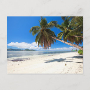 Cartão Postal Praia de areia branca