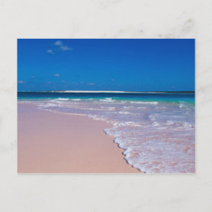 Cartão Postal Praia de areia rosa na Baía de Conch, Ilha do Gato