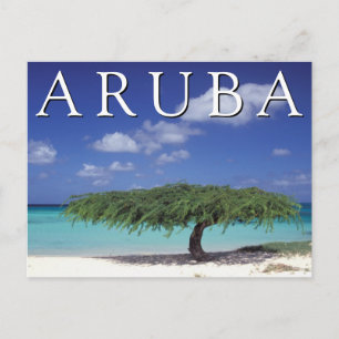 Cartão Postal Praia do Eagle   Caribe, Aruba