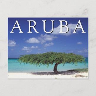 Cartão Postal Praia do Eagle | Caribe, Aruba