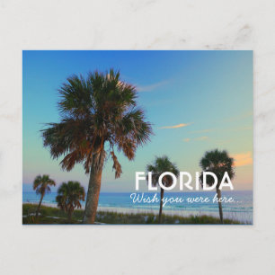 Cartão Postal Praia do Panamá, Flórida, Queria Que Você Estivess