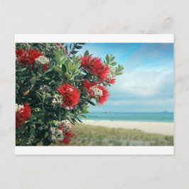 Cartão Postal Praia do Paraíso das Flores Vermelhas no Verão da