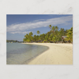 Cartão Postal Praia e palmeiras, estância de Plantation Island