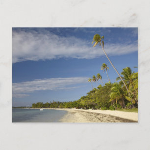 Cartão Postal Praia e palmeiras, Plantation Island Resort