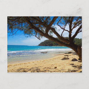 Cartão Postal Praia em Kauai