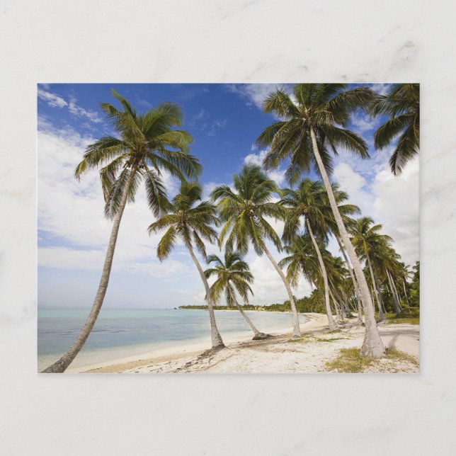 Cartão Postal Praia em Punta Cana (Frente)