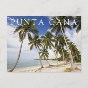 Cartão Postal Praia em Punta Cana   República Dominicana