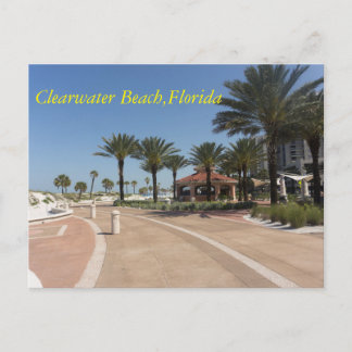 Cartão Postal Praia Florida de Clearwater