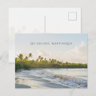 Cartão Postal Praia Les Salines Martinique Viagem Cênica