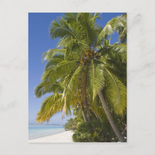 Cartão Postal Praia na ilha One Foot, Aitutaki, Ilhas Cook