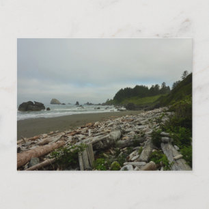 Cartão Postal Praia Oculta I no Parque Nacional de Redwood