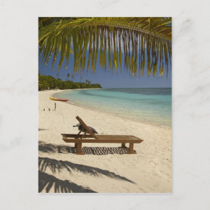 Cartão Postal Praia, palmeiras e espreguiçadeira