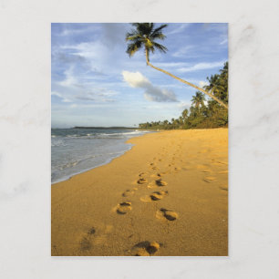 Cartão Postal Praia Porto Rico