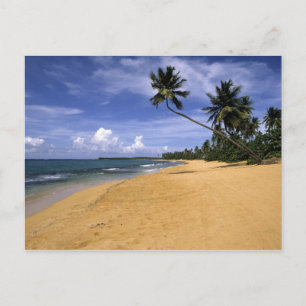 Cartão Postal Praia Porto Rico 2