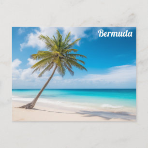 Cartão Postal Praia Tropical Bermudas Palmeira Viagem Oceano